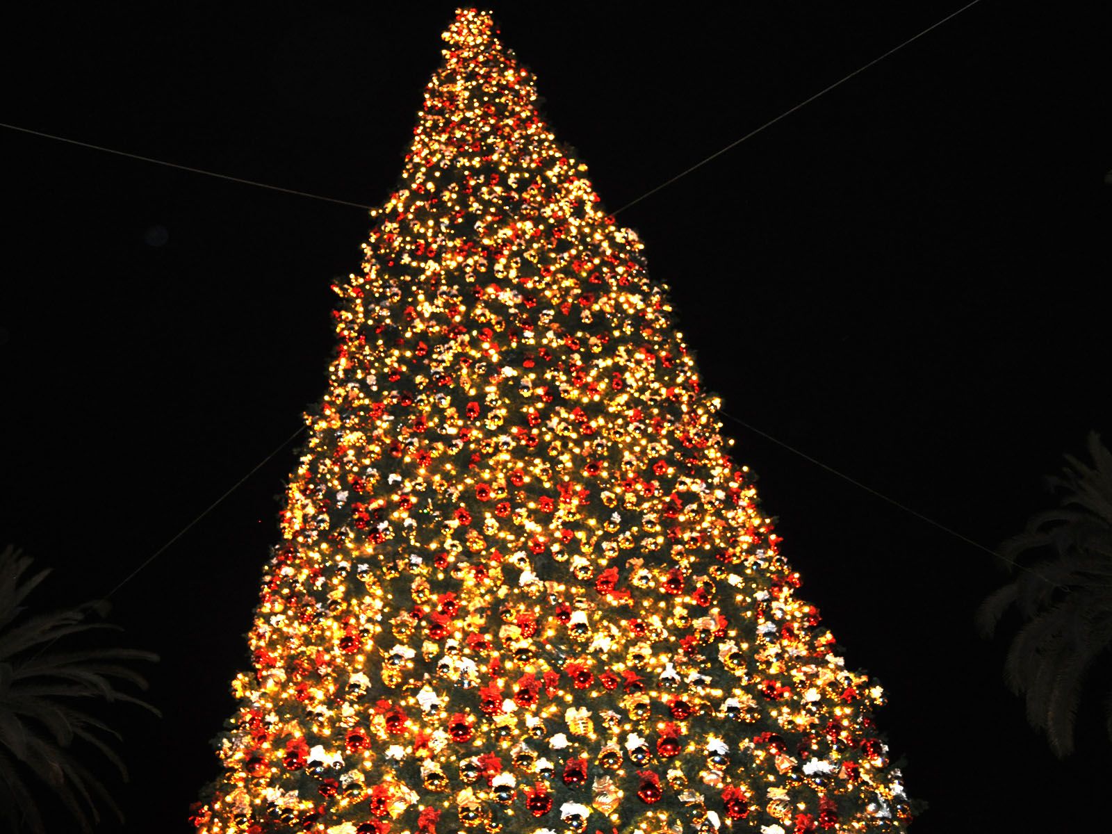 Desktop Backgrounds Christmas Pictures Wallpapers